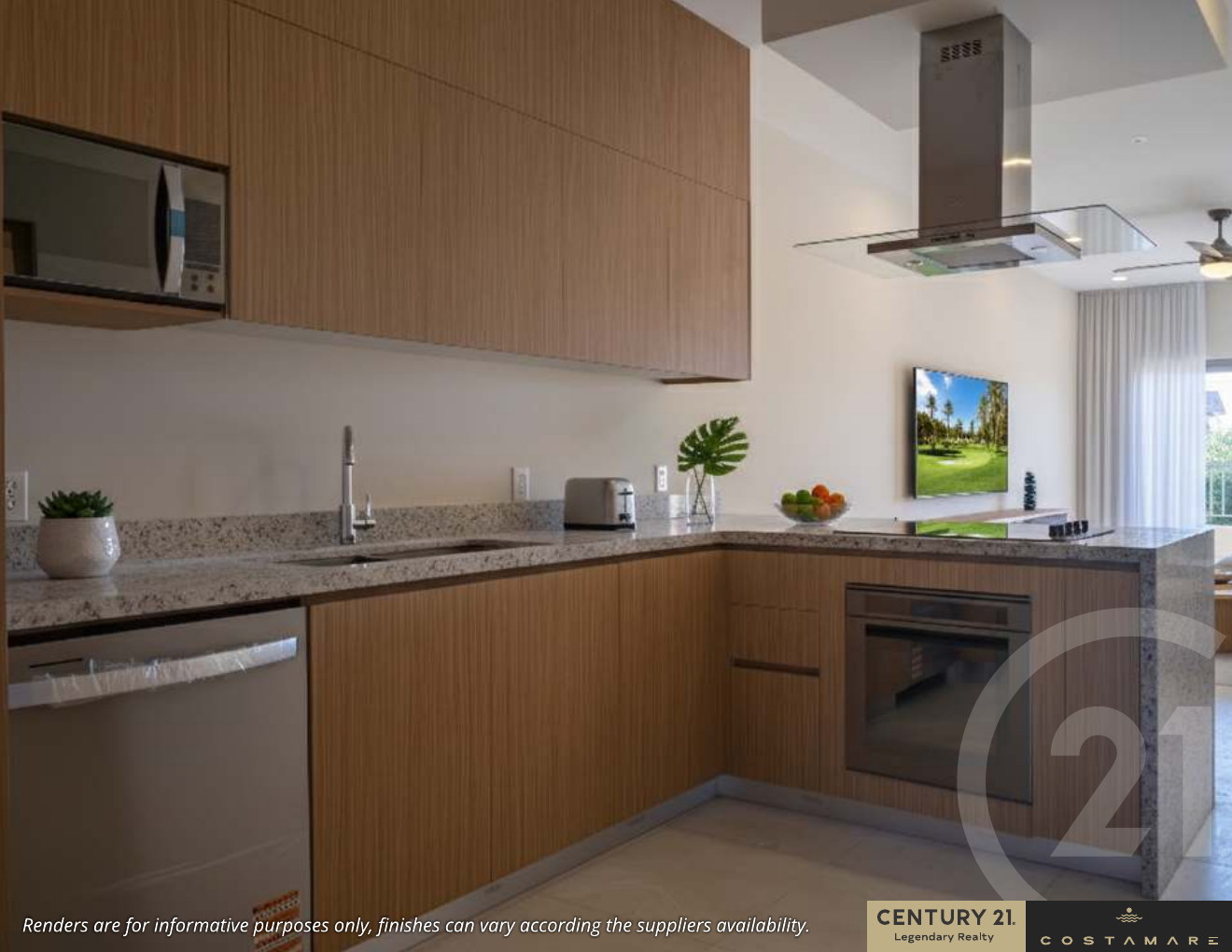 Costa Mare Cabo San Lucas project presentation page 9