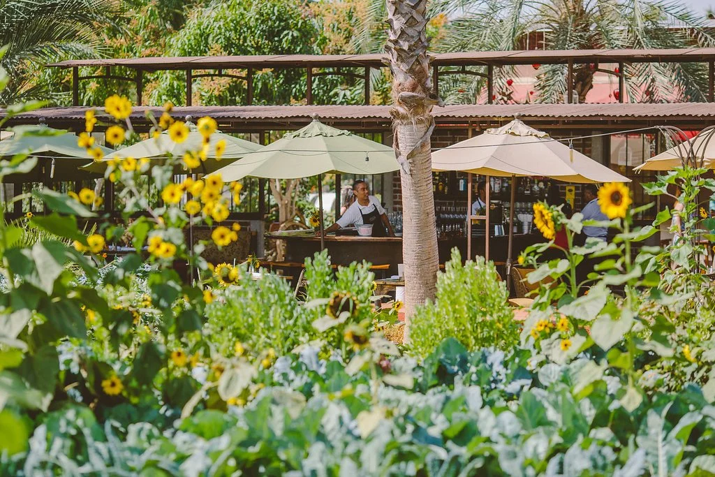 Garden and outdoor dining at Flora Farms