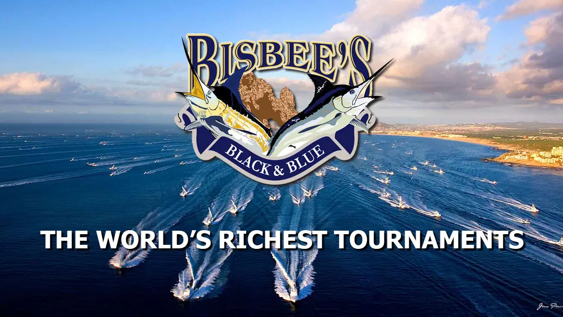 Bisbee’s branded archive image showing a fleet of sportfishing boats departing off Cabo San Lucas